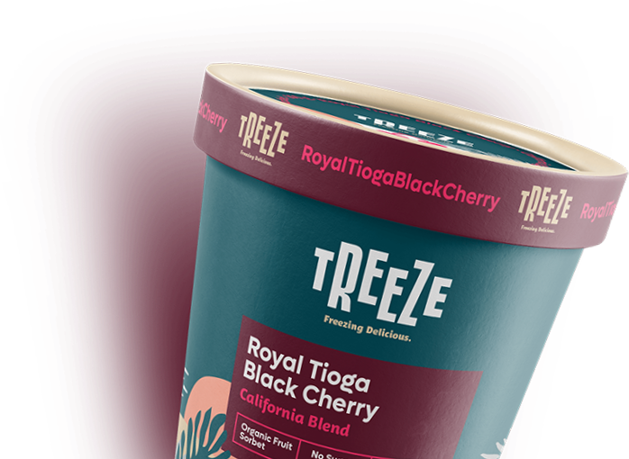 Top Designer Top Designer